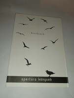 Füzi Izabella (szerk.) - Hitchcock. Kritikai olvasatok  - Új, olvasatlan és hibátlan példány!!!
