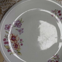 Alföldi tölcsérvirágos lapos tányér