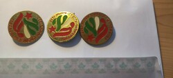 Revolutionary Youth Days 1977 3 badges