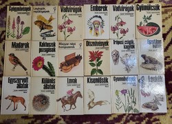 Diver pocket books and hummingbird book package (18 pcs.)