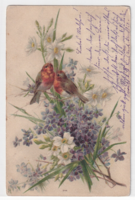 H:107 antique bird greeting card with long address 1919