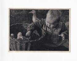 H:121 Antik Húsvéti Üdvözlő képeslap "Fotók"