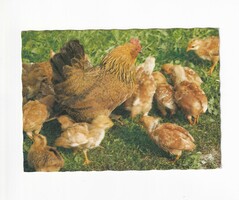 H:136 Easter greeting card postal clear 