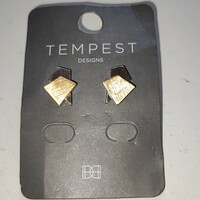 New steel earrings