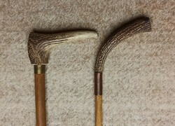 Walking sticks with antler handles