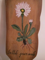 Plant board - wood - 22 x 7 cm - hand painted - old - Austrian - perfect