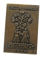 Tiszta Virágos Debrecenért 1974 plakett
