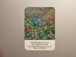 Hungary, card calendar iv.- Boldogasszony pharmacy 2024