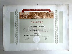 1954, Esztergom, Rákosi diploma, commemorative card, turner, excellent worker