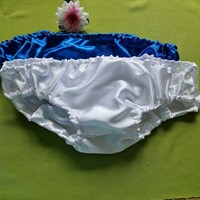 Fen56.9 - 2pcs swallow-type men's satin panties, underpants