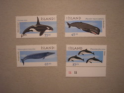 Izland-Fauna, Bálnák 1999