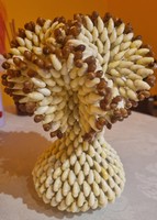 Decoration made of shells
