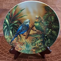 Hullámos papagájos porcelán dísztányér, ritka madaras falitányér (L4561)