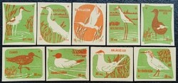 Gy8 / 1959 waterfowl match tag complete row of 9 pcs