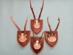 4 deer trophies