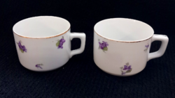 Vintage Czechoslovakian violet cup 2 pcs