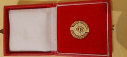 Prosecution Corps 10-year badge in box