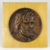 1P723 Béla Domonkos: bronze plaque of painter Károly Szegvár