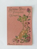Old embossed postcard pig clover
