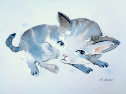 Kiscirmos - agnes laczó contemporary painter/graphic artist, original watercolor painting on paper, cat