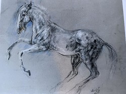 Róbert König - equestrian graphics