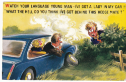 Vh:02 funny-humorous postcard 1966