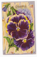 Postcard with purple flowers