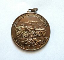 Rare! Italy - coresina marathon, bronze commemorative medallion with the relief of the Farfa Abbey.