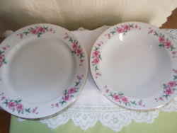 Flawless lowland porcelain cherry blossom plates 1 deep, 1 flat,