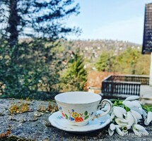 Zsolnay coffee cup and saucer