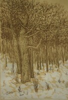 Anikó Lunczer (1942-): trees