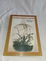 Sulyok-kecskés-kerenyine - our indoor plants