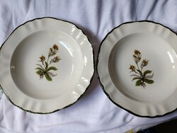Italian porcelain plates (2 identical). Rarity!