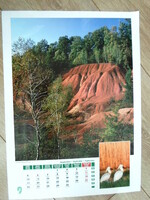 Poszter naptárlap 5.: Darvas-tói bauxitlencse, kanalasgém; szeptember (fotóposzter)