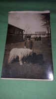 Antique Hungarian photo postcard of a little boy with his favorite komondor dog according to the pictures
