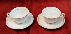 Pair of Zsolnay feathered mocha cups