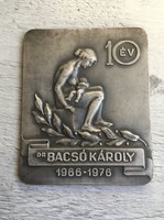 1976 - Dr Bacsó Károly 10-év ezüstözött emlékplakett