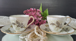 Adderley porcelain coffee cups