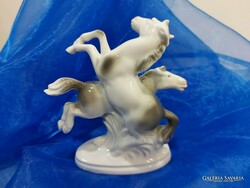 Fasold & stauch porcelain horses