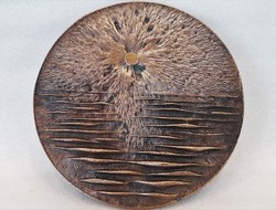 Large cast bronze medal, plaque, balaton, Veszprém Zoo, 1983.