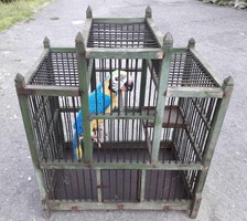Old wooden cage, parrot