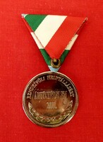 Árvízvédelem 2011 kitüntetés
