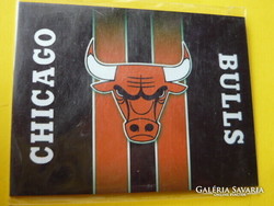 Chicago bulls refrigerator magnet