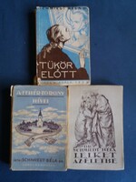 Dr Béla Schmiedt books.