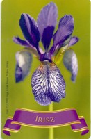 Pharmacy 2011 card calendar