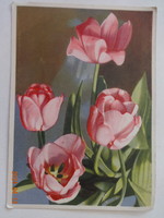Old graphic floral greeting card, postage stamp, tulips