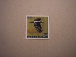 Poland - fauna, Europe, birds 1999