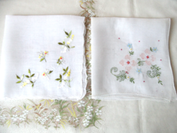 Hand embroidered handkerchief (2 pcs.)