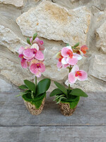 2 beautiful orchids in pots!