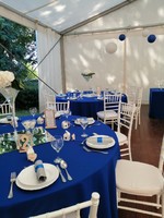 Royal blue wedding decor, tablecloths, chair bows